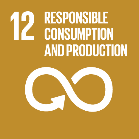  Responsible Consumption and Production